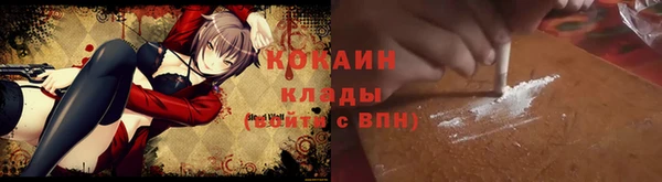 шишки Алексеевка