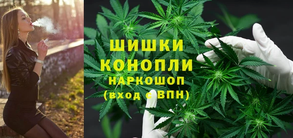 шишки Алексеевка