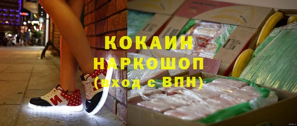 шишки Алексеевка