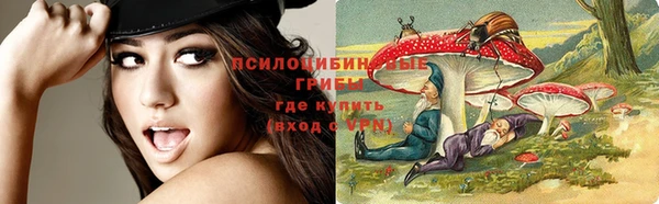 шишки Алексеевка